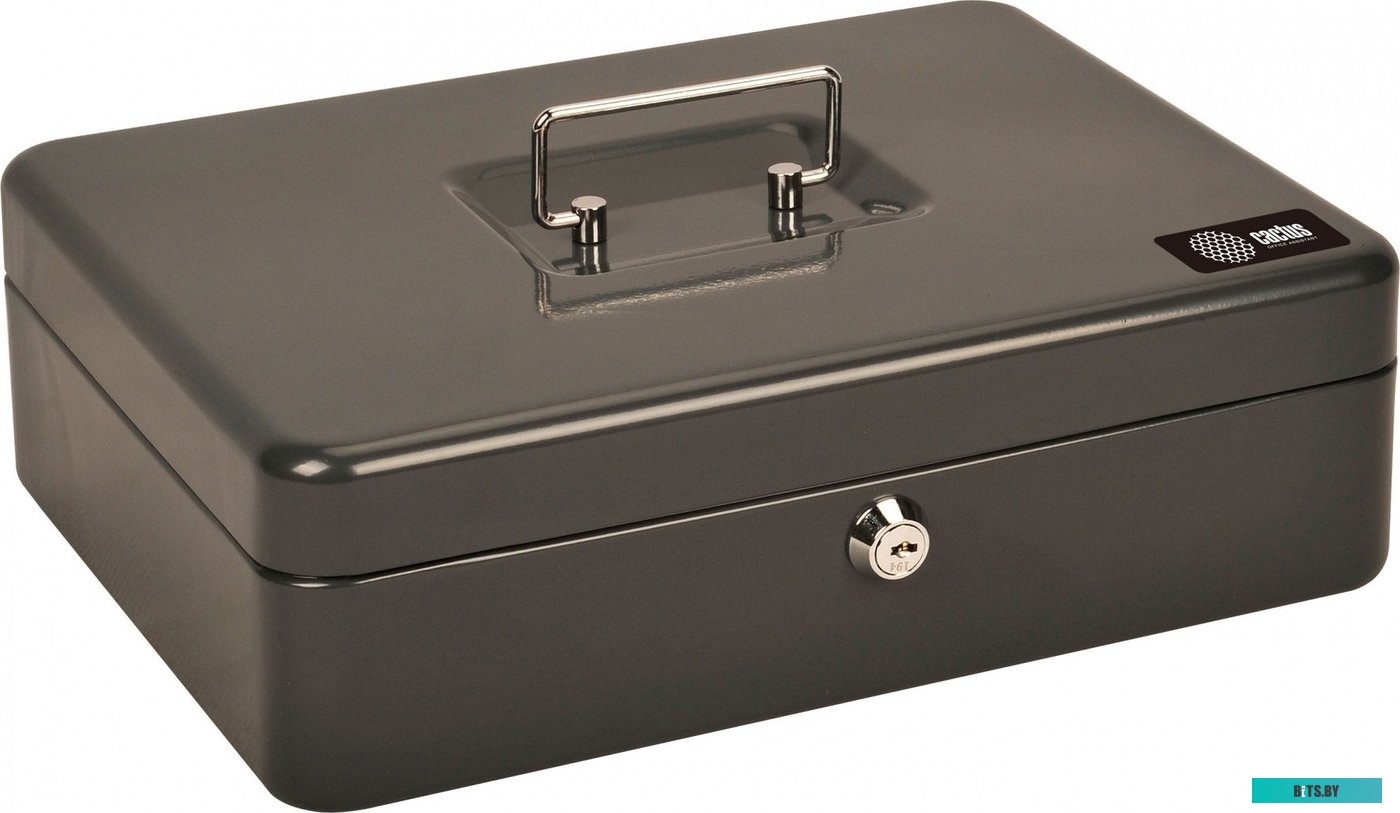 CS-CB-004GY Ящик для денег Cactus CS-CB-004GY 90x300x240 серый