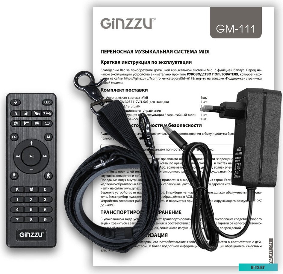 Ginzzu GM-111