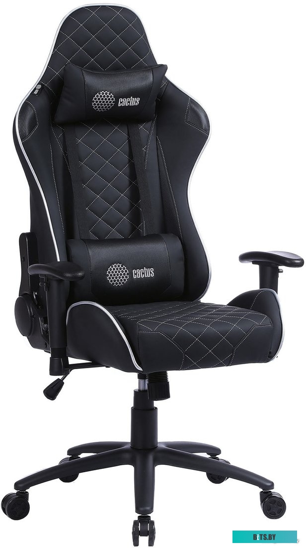 Кресло CACTUS CS-CHR-030BLS (черный/серебристый)