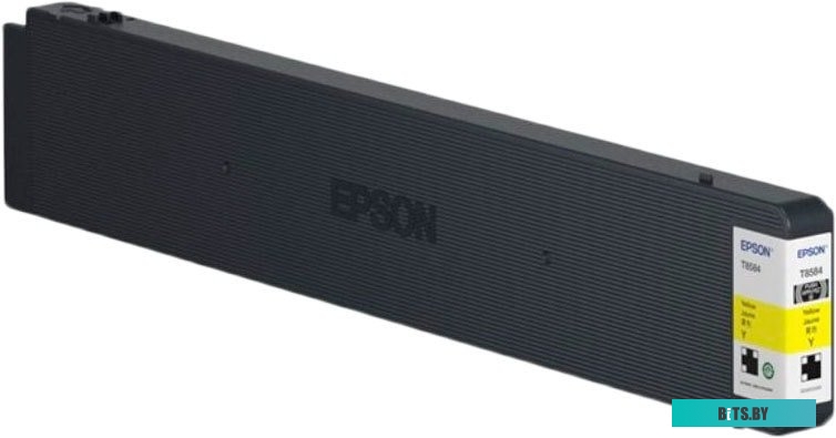 Картридж Epson C13T887400