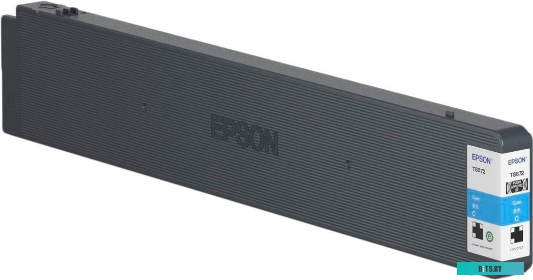 Картридж Epson C13T887200