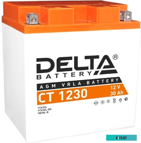 Аккумулятор Delta CT 1230 (12V / 30Ah)