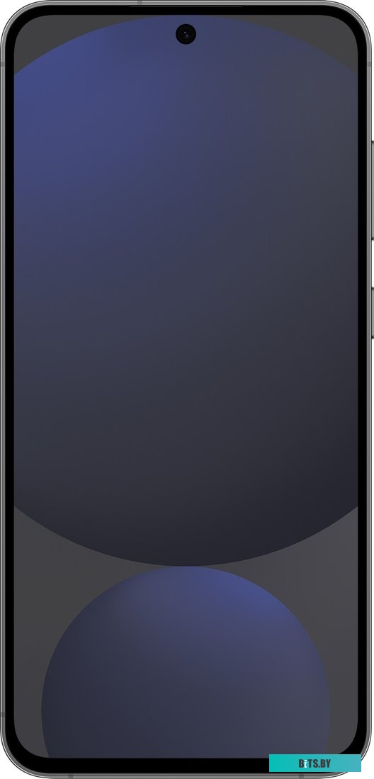 Смартфон Samsung Galaxy S24 FE SM-S721B 8GB/256GB (графит)