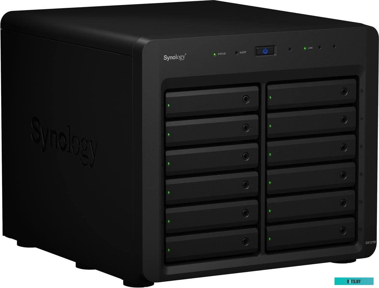 DX1215II Synology Expansion Unit DX1215II