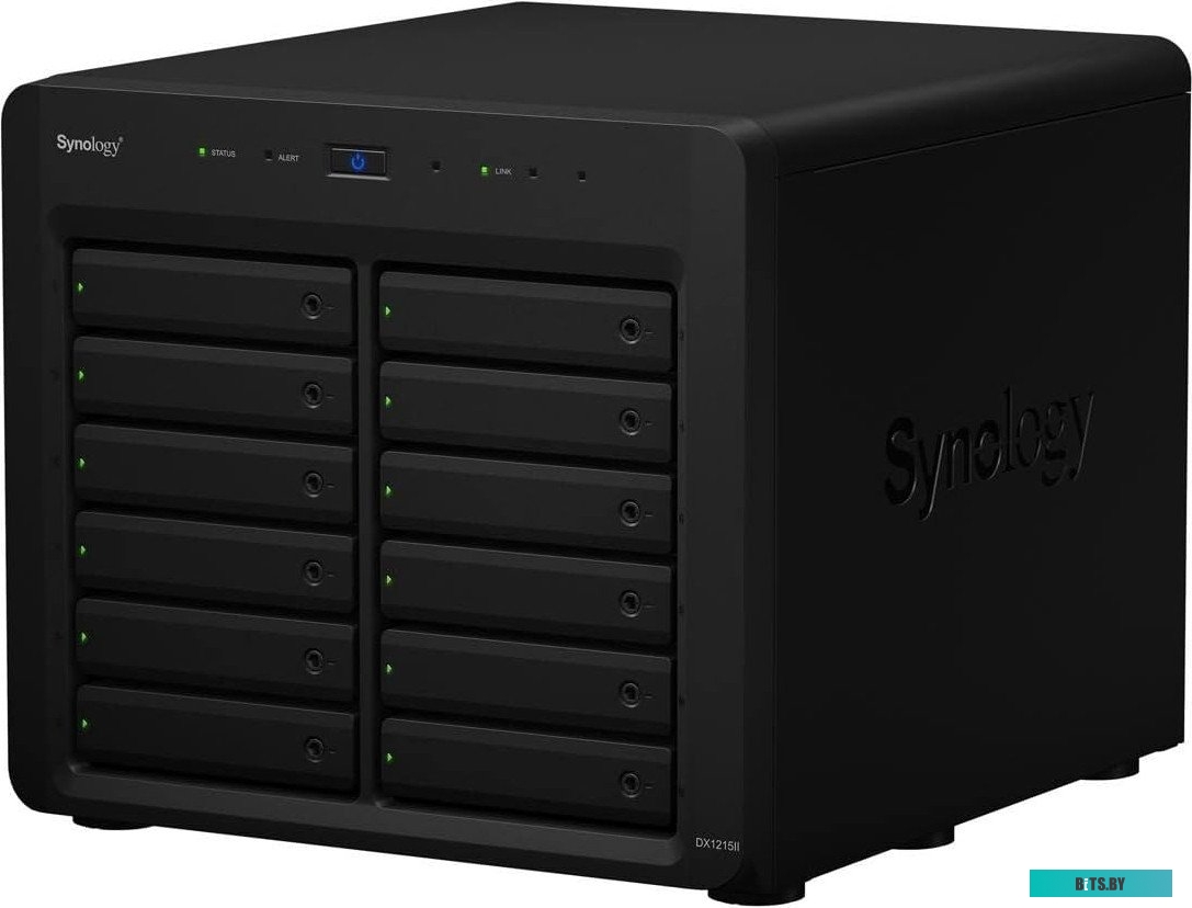 DX1215II Synology Expansion Unit DX1215II