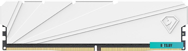 NTSSD4P36SP-08W Netac Shadow S 8ГБ DDR4 3600 МГц NTSSD4P36SP-08W