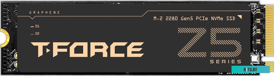 SSD Team Cardea Z540 TM8FF1004T0C129