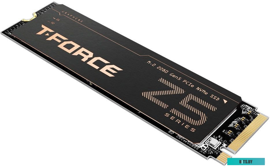 SSD Team Cardea Z540 TM8FF1004T0C129