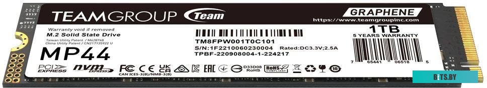 SSD Team MP44 1TB TM8FPW001T0C101