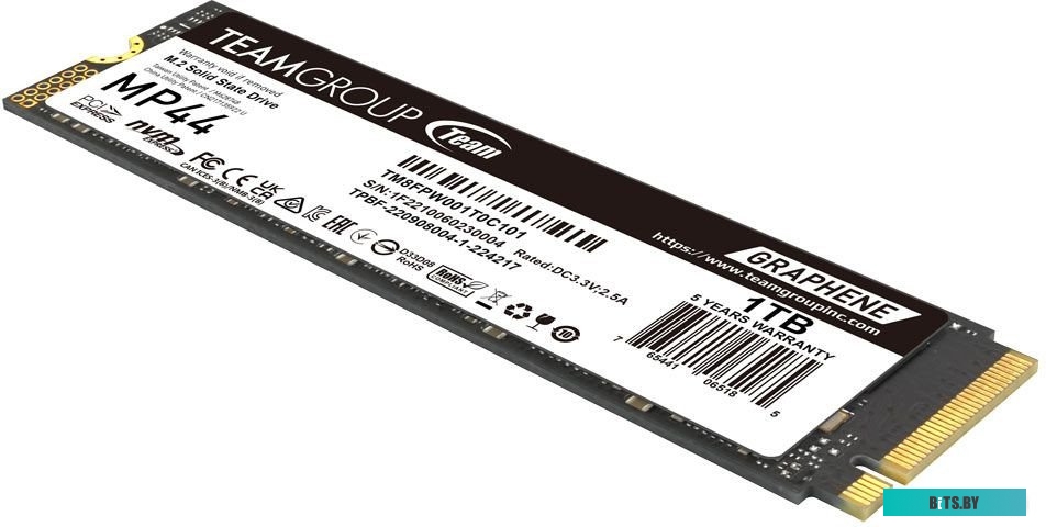 SSD Team MP44 1TB TM8FPW001T0C101