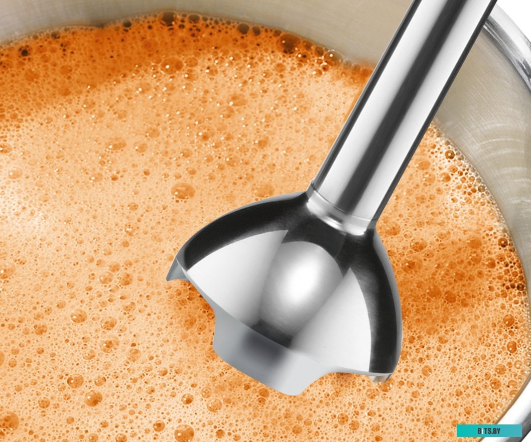 MSM2610B Блендер Bosch CleverMixx MSM2610B,  погружной,  черный