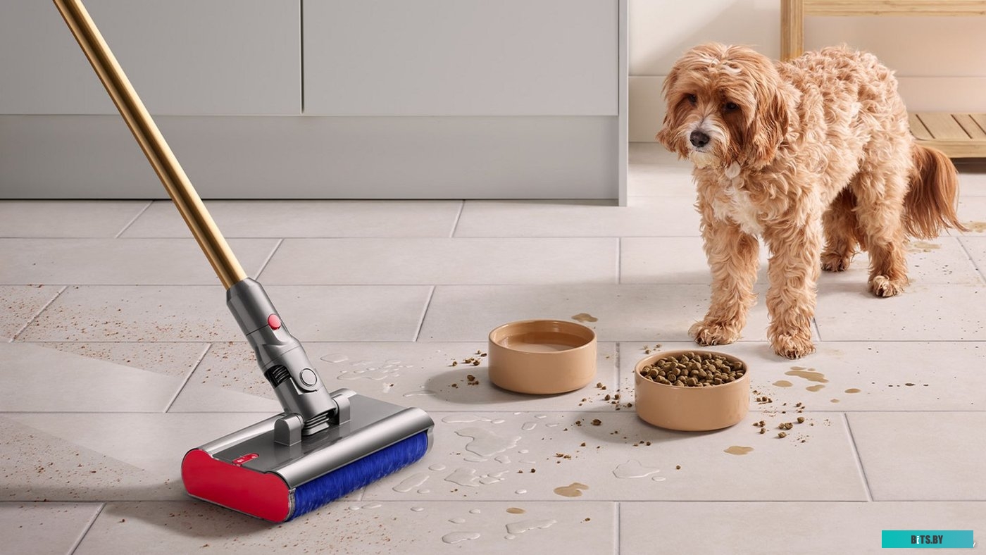 Dyson V12s Detect Slim Submarine Complete