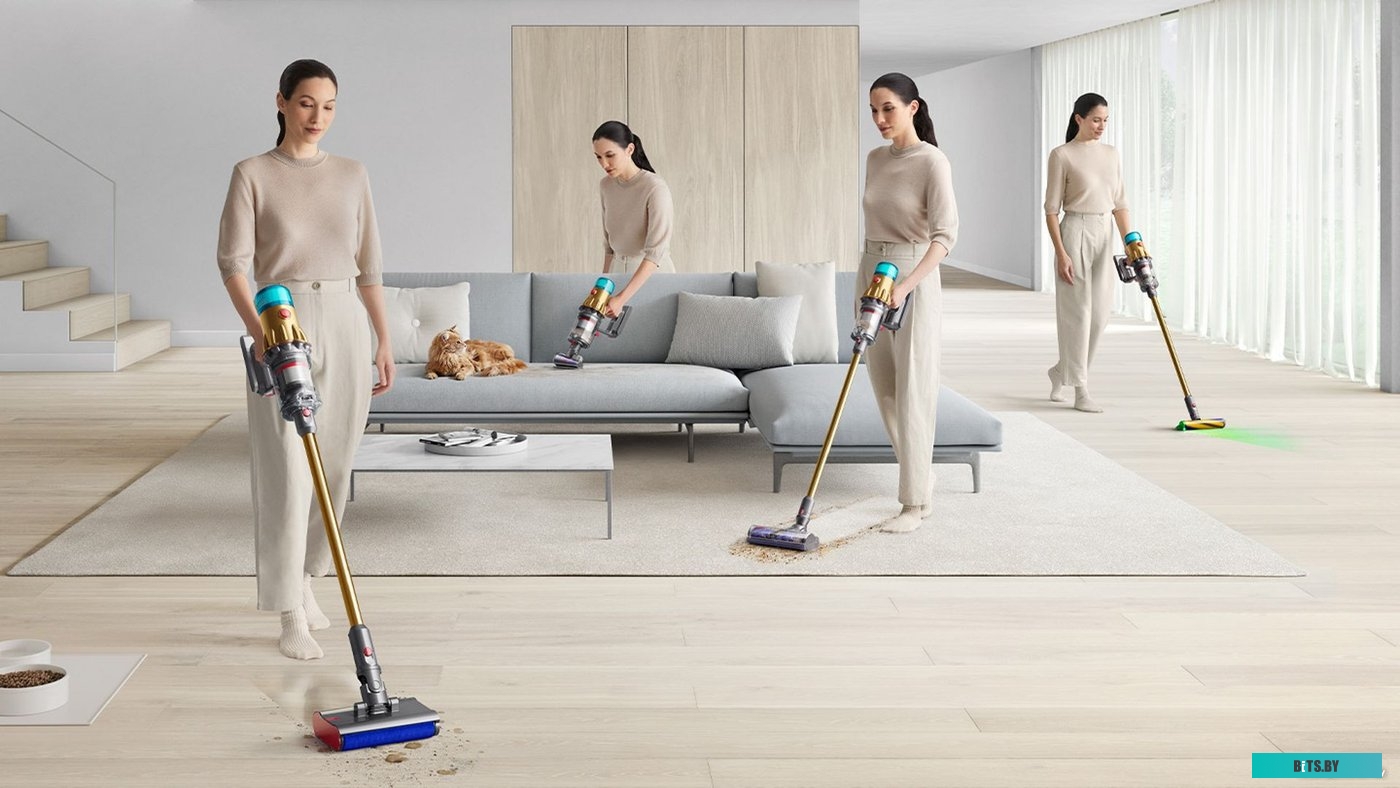 Dyson V12s Detect Slim Submarine Complete