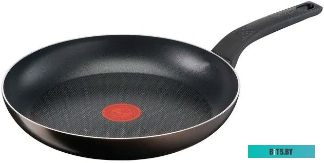 9100054100 Сковорода Tefal Easy Plus 04237924, 24см, с крышкой,  черный [9100054100]