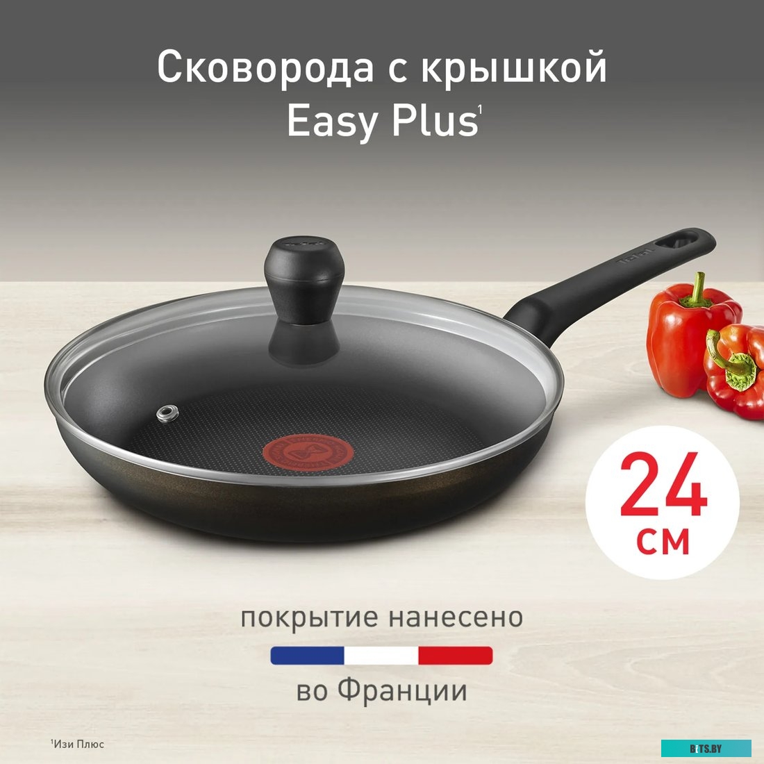 9100054100 Сковорода Tefal Easy Plus 04237924, 24см, с крышкой,  черный [9100054100]