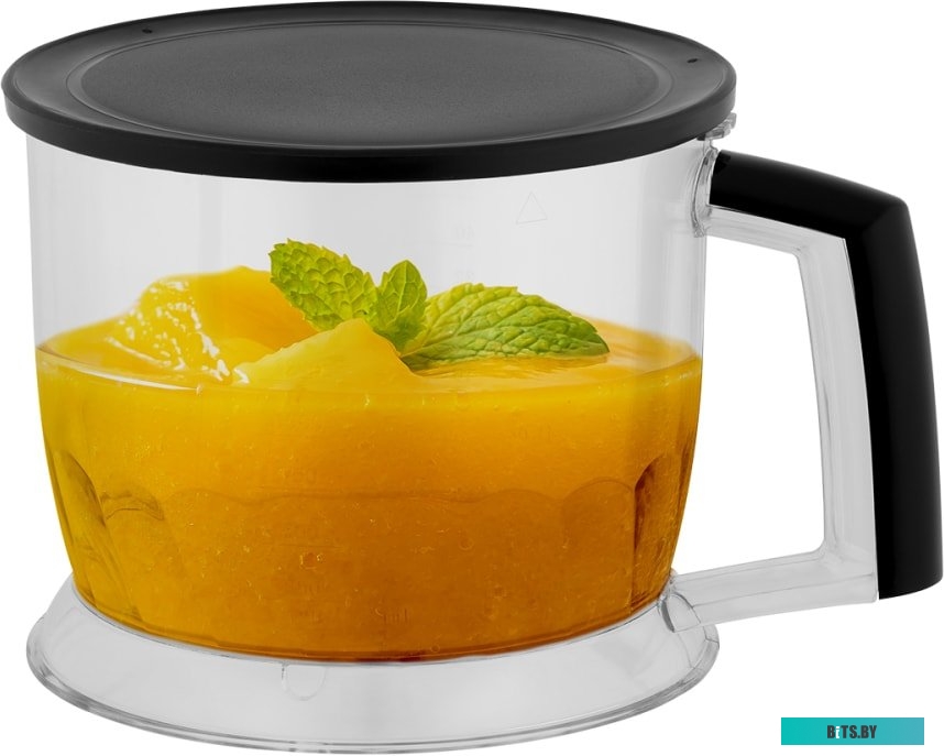 SC-HB42K09 Блендер погружной SC-HB42K09 BLACK SCARLETT