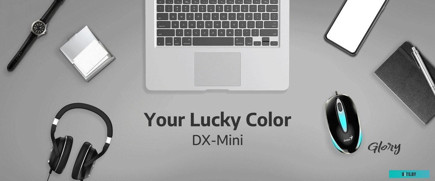 Мышь Genius DX-Mini 31010025401