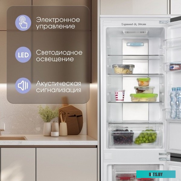 BR 20 X Zigmund & Shtain BR 20 X