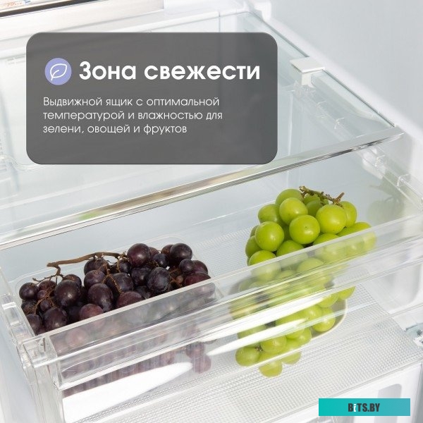 BR 20 X Zigmund & Shtain BR 20 X