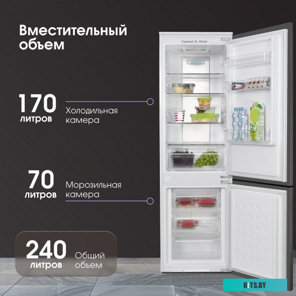 BR 20 X Zigmund & Shtain BR 20 X