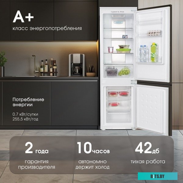 BR 20 X Zigmund & Shtain BR 20 X