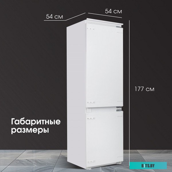 BR 20 X Zigmund & Shtain BR 20 X