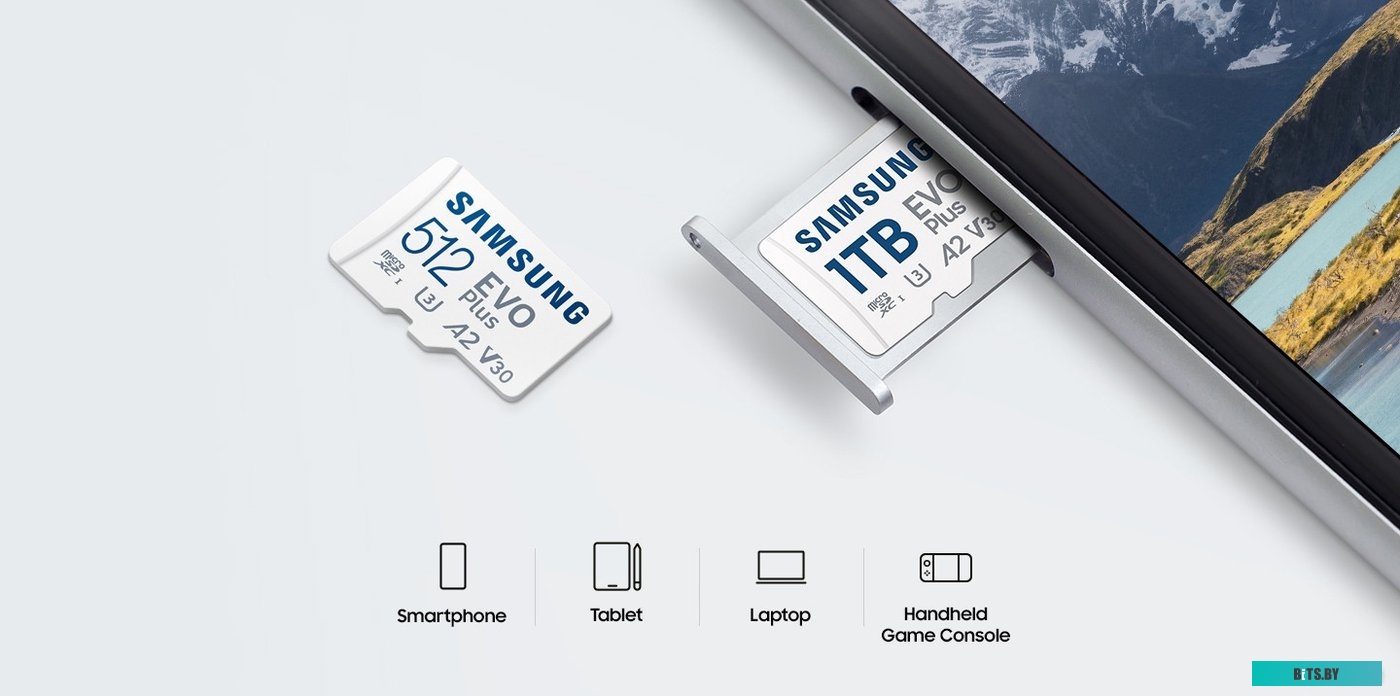 Флеш карта microSDXC 256GB Samsung EVO Plus Class 10, A2, V30, R160 МБ/с, <MB-MC256SA/APC> MB-MC256SA/APC