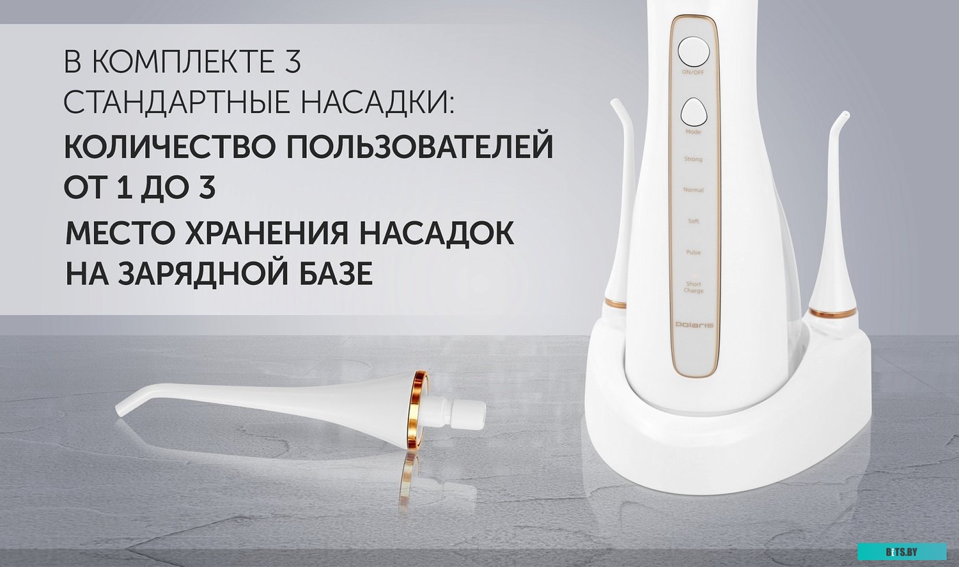 PWF 0201 Ирригатор Polaris PWF 0201 цвет:розовый