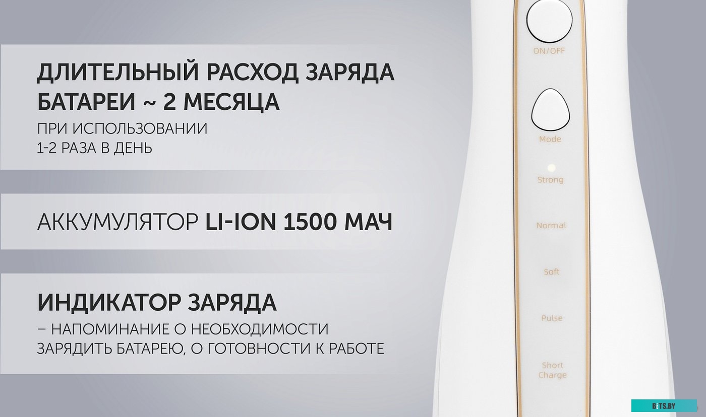 PWF 0201 Ирригатор Polaris PWF 0201 цвет:розовый