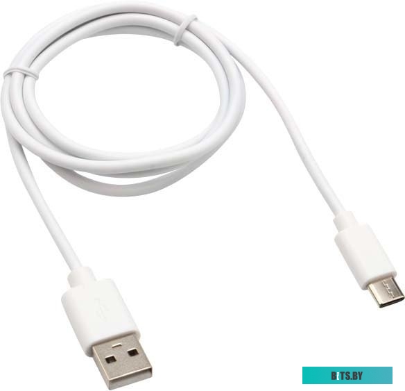 Адаптер Rexant 18-1895 USB Type-A - USB Type-C (1 м, белый)