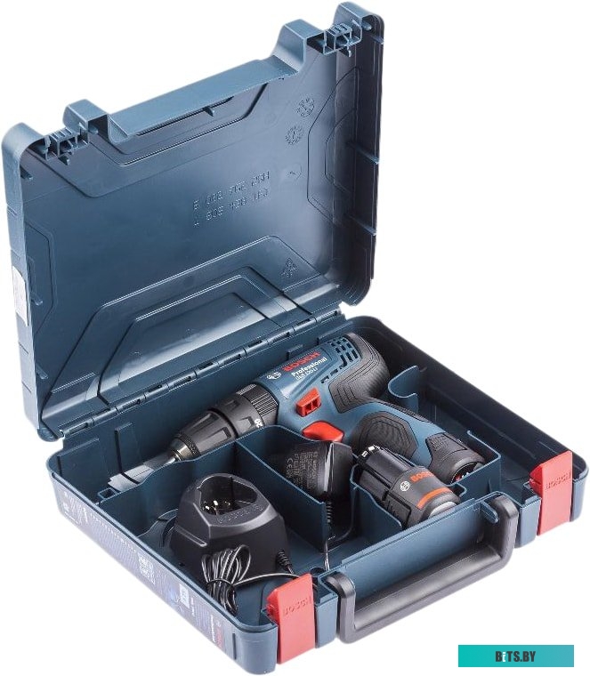 Ударная дрель-шуруповерт Bosch GSB 120-LI Professional 06019G8100 (с 2-мя АКБ, кейс)