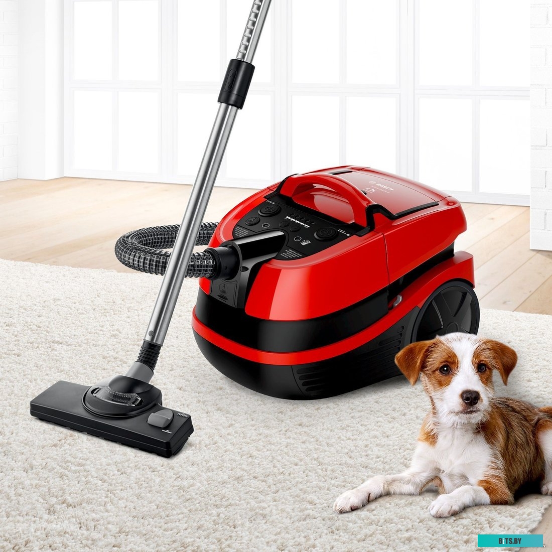 Пылесос Bosch BWD421PET