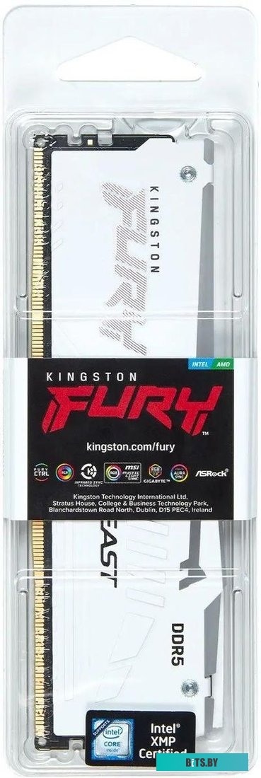 KF556C40BWA-16 Оперативная память Kingston Fury Beast KF556C40BWA-16 DDR5 -  1x 16ГБ 5600МГц, DIMM,  White,  Ret