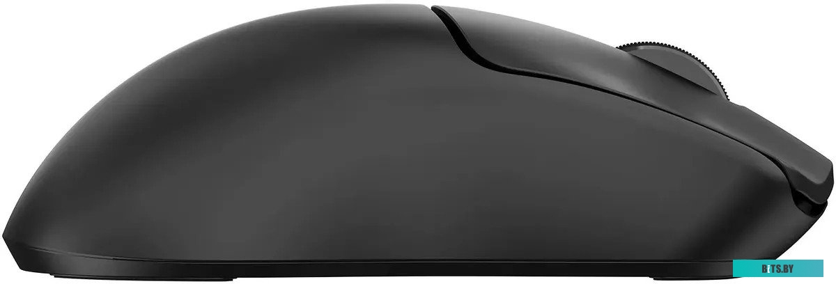Мышь Acer OMR312 черный оптическая 3200dpi беспров. BT/Radio USB 5but (ZL.MCECC.035) ZL.MCECC.035