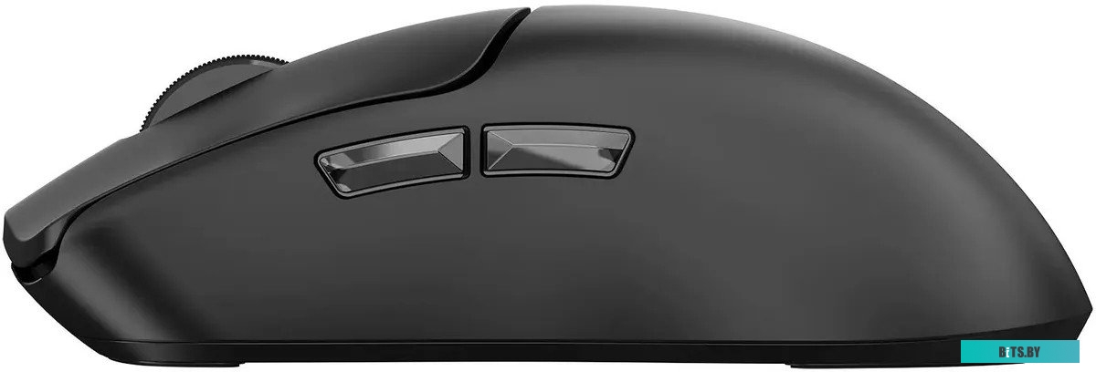 Мышь Acer OMR312 черный оптическая 3200dpi беспров. BT/Radio USB 5but (ZL.MCECC.035) ZL.MCECC.035