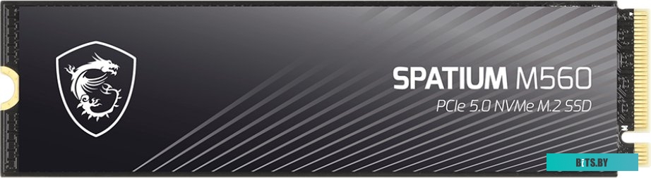 Твердотельный накопитель SSD MSI M.2 2280 2TB SPATIUM M560 Client SSD S78-440Q940-P83 S78-440Q940-P83