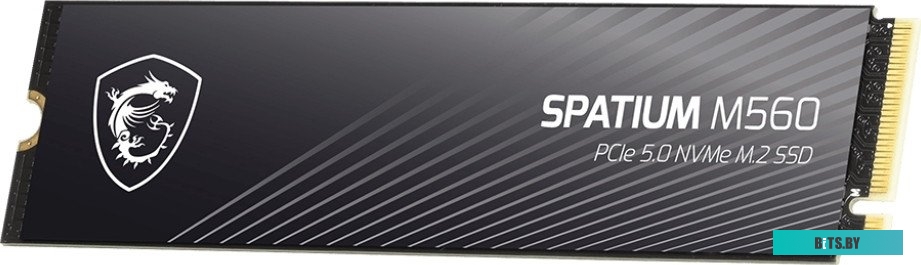 Твердотельный накопитель SSD MSI M.2 2280 2TB SPATIUM M560 Client SSD S78-440Q940-P83 S78-440Q940-P83