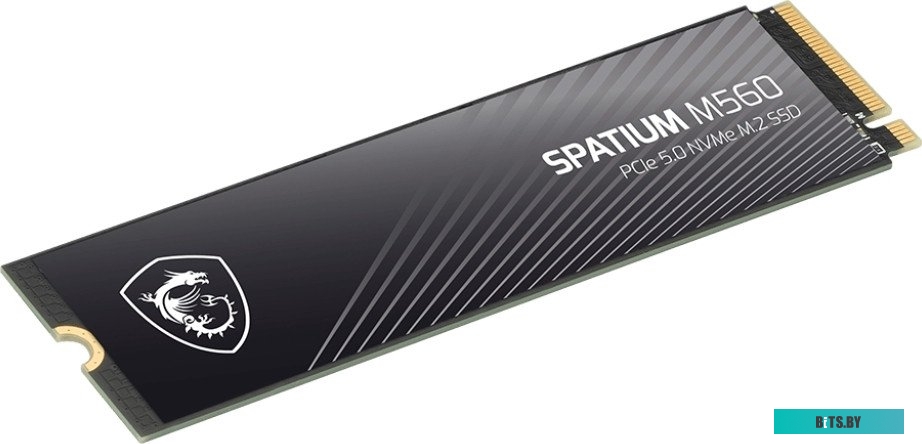 Твердотельный накопитель SSD MSI M.2 2280 2TB SPATIUM M560 Client SSD S78-440Q940-P83 S78-440Q940-P83