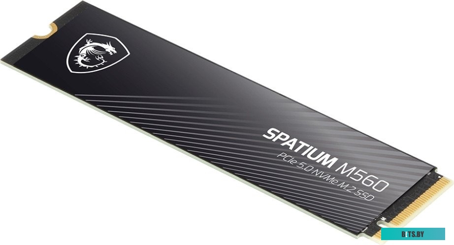 Твердотельный накопитель SSD MSI M.2 2280 2TB SPATIUM M560 Client SSD S78-440Q940-P83 S78-440Q940-P83