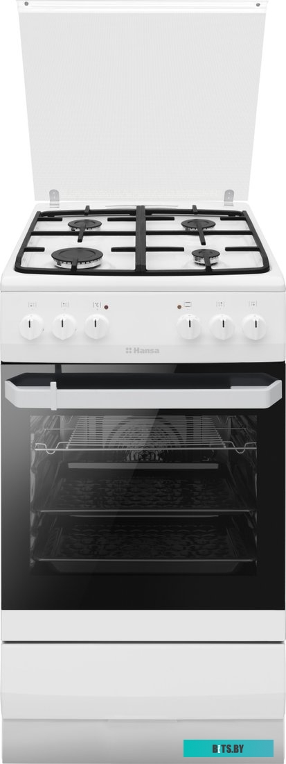 FCMW58077 Плита газо-электрическая Hansa FCMW58077