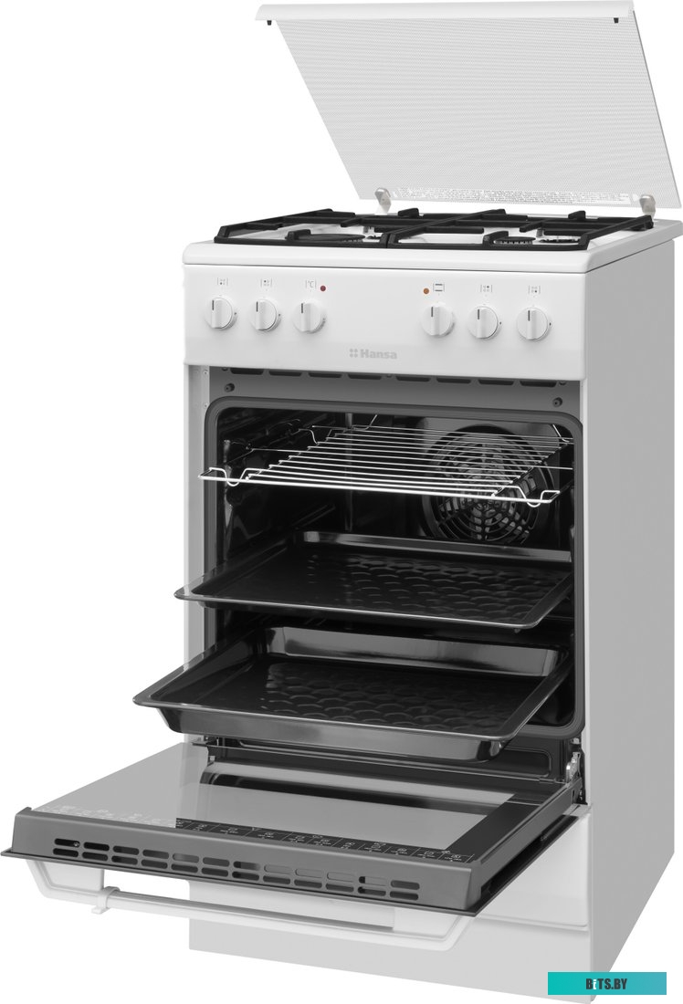 FCMW58077 Плита газо-электрическая Hansa FCMW58077