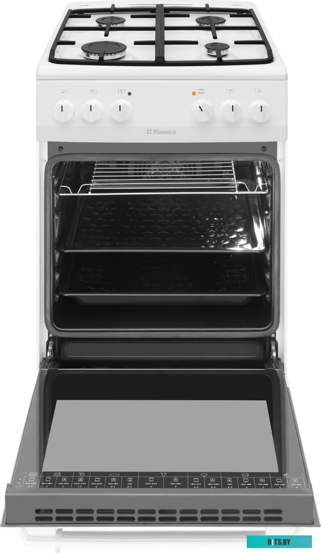 FCMW58077 Плита газо-электрическая Hansa FCMW58077