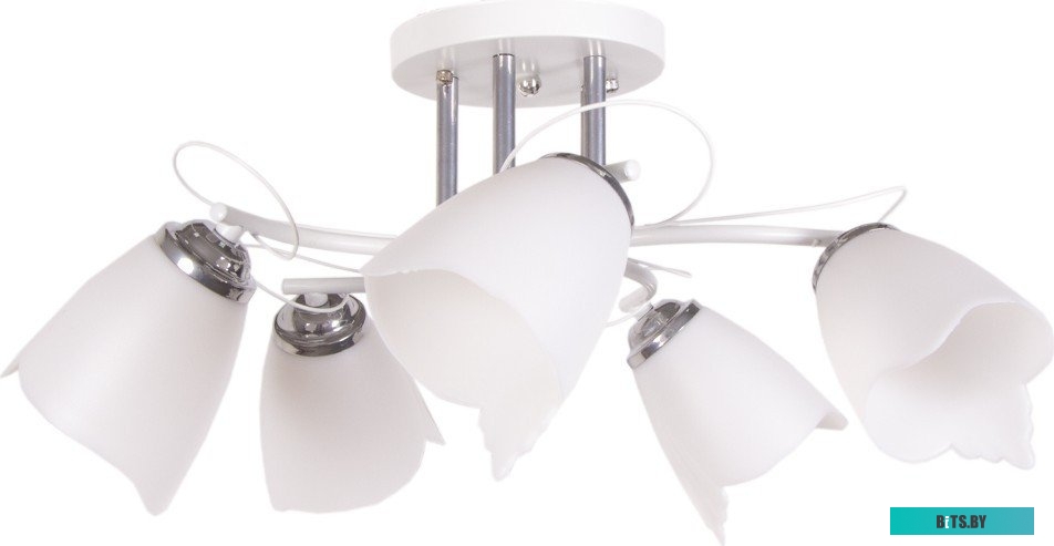 Салфетки 10095 Ronol ScreenCleaner TFT/LCD Premium 100шт