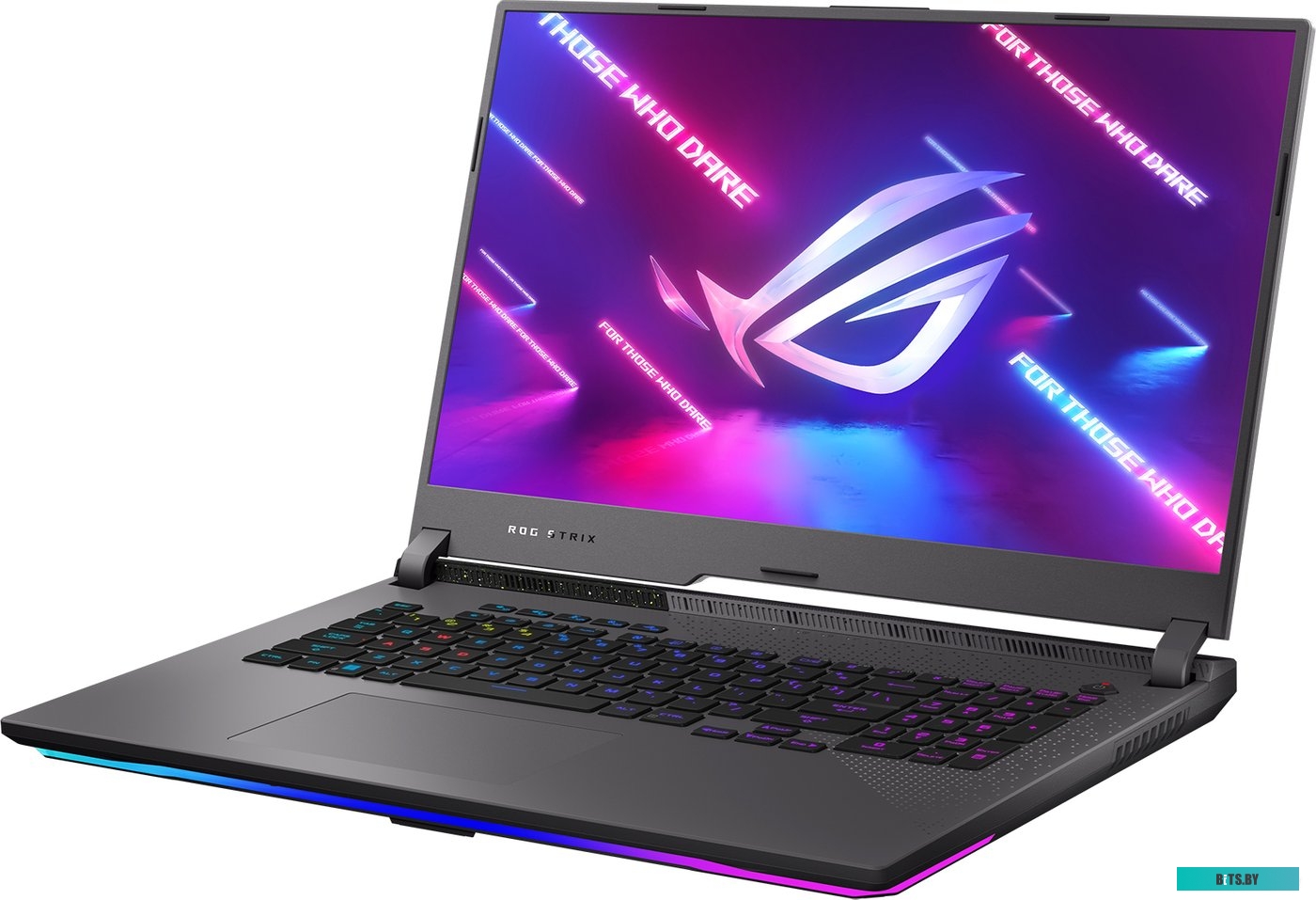 Игровой ноутбук ASUS ROG Strix G17 G713RM-KH097