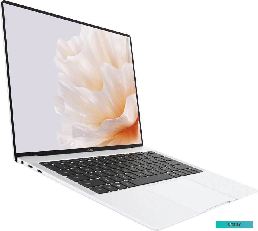Ноутбук Huawei MateBook X Pro 2023 MorganG-W7611TM 53013SJT