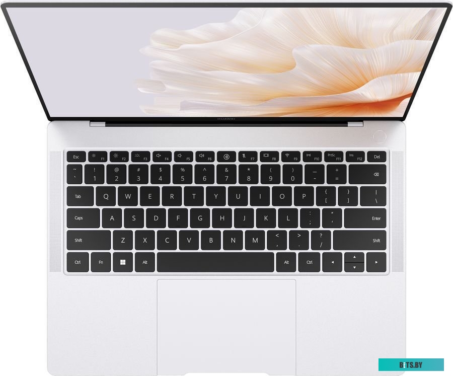 Ноутбук Huawei MateBook X Pro 2023 MorganG-W7611TM 53013SJT