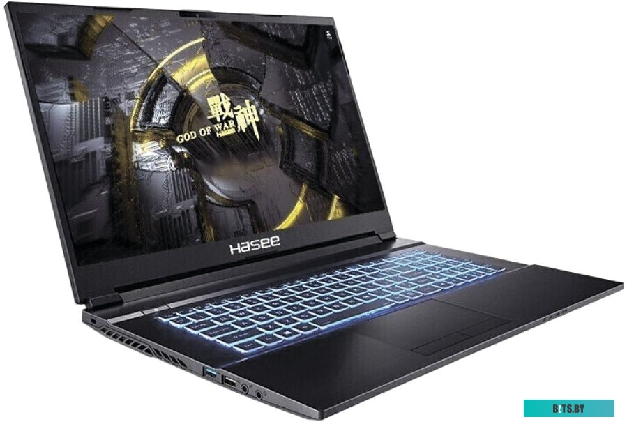 Ноутбук Hasee G8R9 