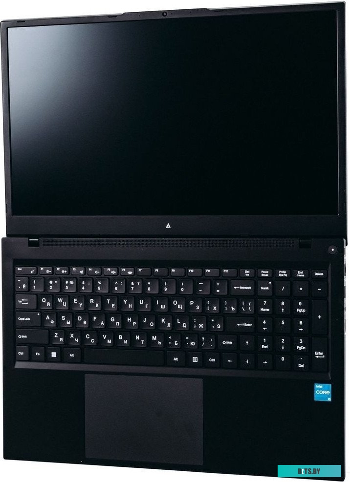 Ноутбук ACD 17S G2 AH17S3386WB