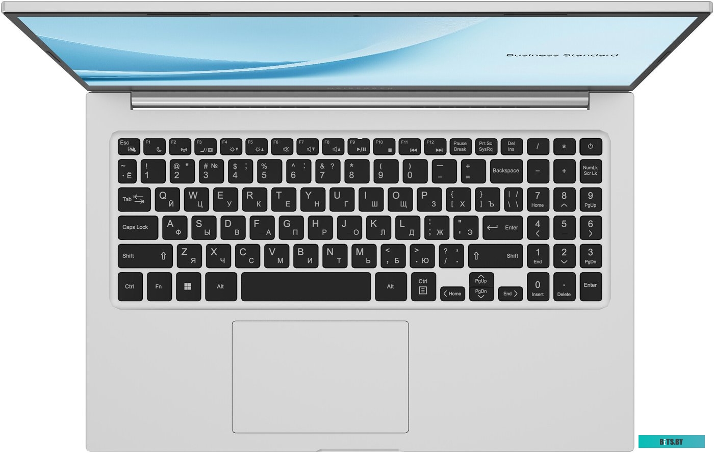 Ноутбук Maibenben B115B серебристый 15.6" B115B-R752UMT1SPSRE2