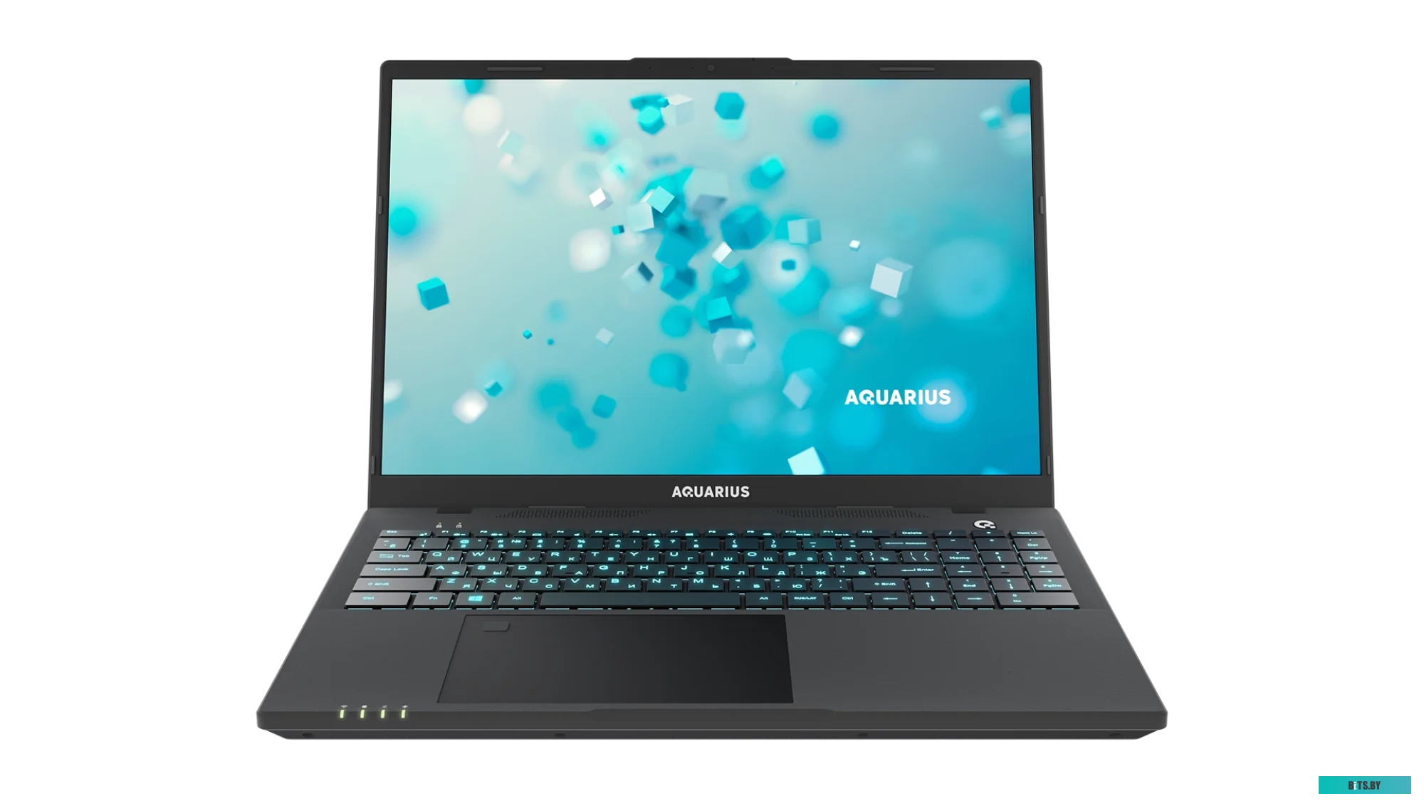 CN-NS616152518S125SCN2TNNNN2 Ноутбук Aquarius Cmp NS616 Core i5 1155G7 8Gb SSD256Gb 16" IPS FHD noOS WiFi BT Cam (CN-NS616152518S125SCN2TNNNN2)